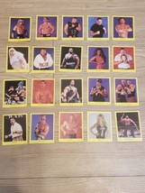 Lot Of 20 WWF Cardinal Trivia Trading Card Series 2 WWE Game 1998 - £24.31 GBP