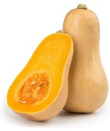 SDC 25 Winter Squash Seeds To Grow Butternut Squash Fresh Seeds - $386.27 MXN