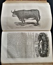 1852-53 Antique Farmer&#39;s Monthly Visitor Bound 24issues New Hampshire History - £136.23 GBP