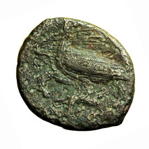 Ancient Greek Coin Phintias Akragas Sicily AE20x22mm Apollo / Two Eagles... - $34.19