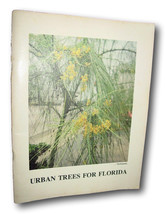 Rare  Urban Trees For Florida, Shade Flowering Street Accent Exotic Tree... - $149.00