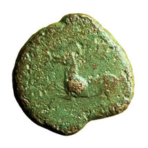 Ancient Greek Coin Kainon Sicily AE20mm Griffin / Horse 04004 - £21.49 GBP