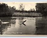 RPPC Salmon Jumping at Gaspe PQ Quebec Canada 1934 Postcard I16 - £2.37 GBP