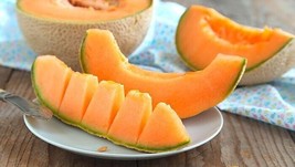 50+ Hales Best Jumbo Cantaloupe Seeds ----- Large - Heirloom - Organic - Non Gmo - £2.80 GBP