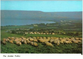 Israel Postcard Holy Land Jordan Valley View Towards Degania - £1.63 GBP