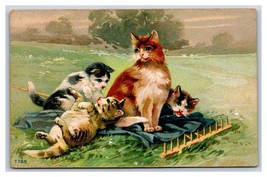 Adorable Cat and Kittens Playing on Blanket 1910 DB Postcard Q19 - £6.21 GBP