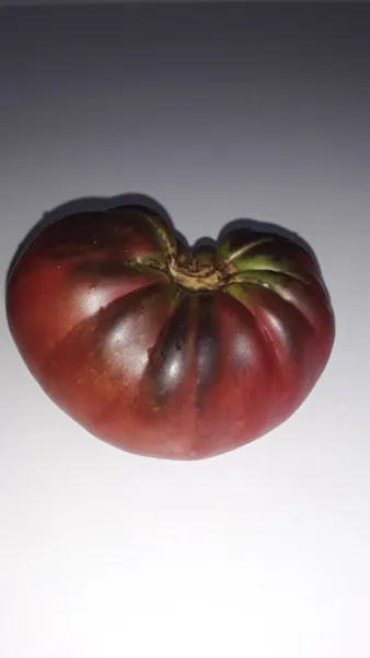 25 Black Beauty Tomato Seeds Organic Open Pollinated Fresh Garden Beautiful - £8.59 GBP