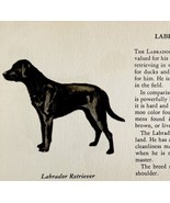 Labrador Retriever 1939 Dog Breed Art Ole Larsen Color Plate Print PCBG18 - $41.01 CAD