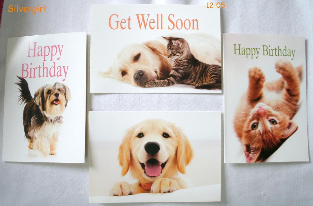 4 Animal Greeting Card w Envelopes 6 1/8 x 4 1/2" IFAW - £4.73 GBP