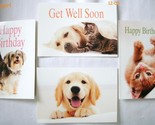 Ifaw 4 pk mixed dog cat greeting cards thumb155 crop
