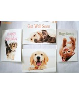 4 Animal Greeting Card w Envelopes 6 1/8 x 4 1/2&quot; IFAW - £4.78 GBP