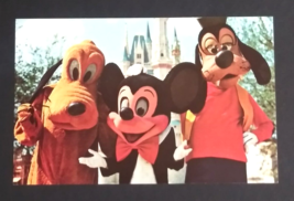 Walt Disney World Mickey Goofy Pluto Castle UNP Dexter Postcard c1970s #01110236 - £6.28 GBP