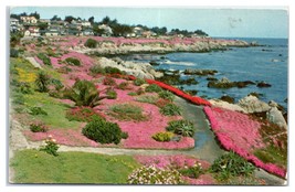 Lover&#39;s Point Pacific Grove Monterey Peninsula California Postcard - £34.58 GBP