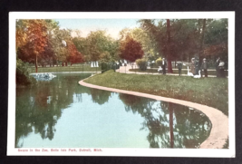 Belle Isle Park Swans in the Zoo Scenic View Detroit Michigan MI Postcard c1910s - £6.01 GBP