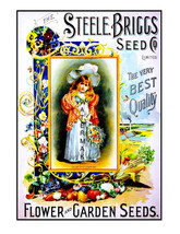 Steele Briggs Seed Vintage 1898 11 x 8.5 inch Advertising Giclee CANVAS ... - £11.72 GBP