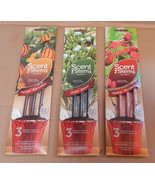 Scent Stems Fragrance Infusers USA 3 Different Pks 9 Stems Total Enviros... - $8.82 CAD