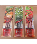 Scent Stems Fragrance Infusers USA 3 Different Pks 9 Stems Total Enviros... - £5.11 GBP