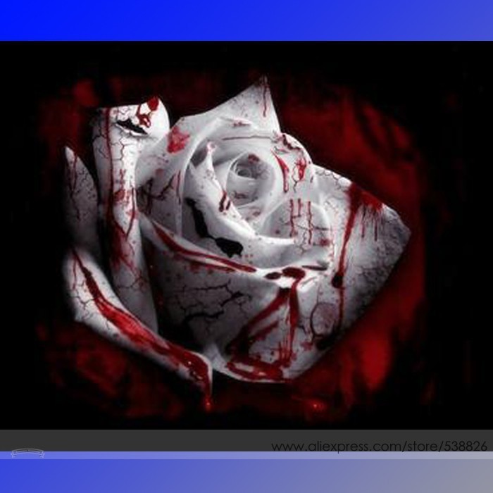 The Rarest White Blood Rose Plant Flower True Seeds Pack 50 Seeds / Pack Light F