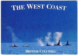 Postcard Orca Killer Whales The West Coast British Columbia 4 1/2&quot; x 6 1/2 - £2.31 GBP