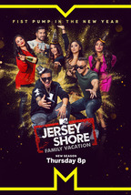 Jersey Shore Family Vacation Poster Season 5 TV Series Art Print Size 24x36&quot; - £8.61 GBP+