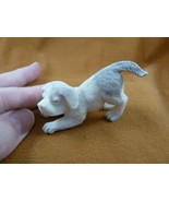 (DOG-W5) little puppy dog playing shed ANTLER figurine Bali detailed car... - €62,92 EUR