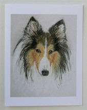 Sheltie Shetland Sheepdog Note Cards Dog Art Solomon - £9.80 GBP
