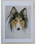 Sheltie Shetland Sheepdog Note Cards Dog Art Solomon - £9.99 GBP