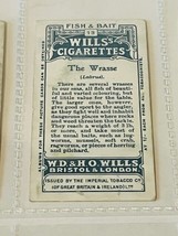 WD HO Wills Cigarettes Tobacco Trading Card 1910 Fish Bait Wrasse #13 Mu... - $19.69