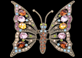 Heidi Daus Swarovski Multi Color Crystal Trembler Butterfly Brooch orig.... - £79.00 GBP