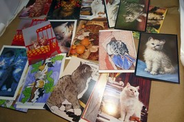 CAT  1980-1990 &#39;s Postcard unposted Italy set of 20 lot Kitten - $19.14