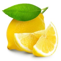 Lemon Fruit 15 Seeds Fresh Garden - £11.71 GBP