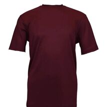 Men Dressy T-Shirt Log-In Uomo Soft Crew Neck Silky Short Sleeves 218 Burgundy image 2