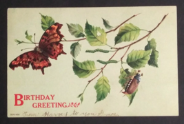 Birthday Greeting Butterfly Beetle Embossed Mint Green Antique Postcard c1900s - £6.36 GBP