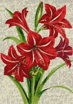 Pepita Needlepoint kit: Red Amaryllis Plant, 11&quot; x 15&quot; - £92.21 GBP+