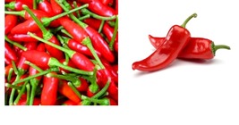 120+ SEEDS Small Red Chili Hot Pepper Seeds Thai Chili Hot Pepper - £22.37 GBP