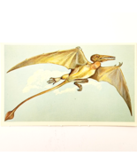 1975 RHAMPHORHYNCHUS Dinosaur Card Vintage Prehistoric Illustration Ephe... - $368.02 MXN