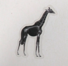 Giraffe Head X-Ray Transparent Sticker 2.25&quot; x 1.75&quot; (X) - $1.64