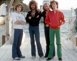 The Bee Gees Andy Barry Maurice &amp; Robin full length pose 24x30 inch Poster - $29.99