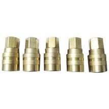 1204S248 I/M Industrial Coupler, 1/4 x 1/4-In. FNPT, 5-Pk. - Quantity 1 - $516.22 MXN