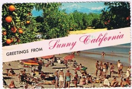 Postcard Greetings From Sunny California Oranges &amp; Beach - £2.18 GBP