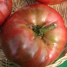 Black From Tula Tomato Seeds Gardening Fresh USA SHIPPING - $10.97