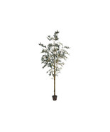 8 ft. Potted Olive Tree 1449-Leaves - €291,90 EUR