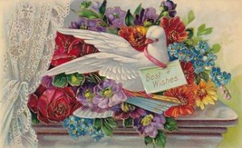 Best Wishes Dove Flowers 1908 Hanover Pennsylvania PA Biglerville Postcard B21 - £2.38 GBP