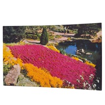 Postcard Bed Of Phlox In Rock Garden Royal Botanical Gardens Hamilton Ontario - £5.16 GBP