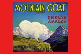 Mountain Goat Chelan Apples 20 x 30 Poster - £20.58 GBP