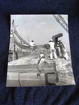 Interesting Black White Penguin Photo Penguin in Construction Site Ted Lau - $39.99