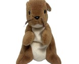Ty Beanie Babies Brown Squirrel Nuts 5.5 Plush Stuffed Animal no paper t... - $5.82