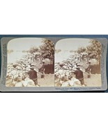 1899 Underwood &amp; Underwood Fighting from Stone Wall Philippines Taguig Y1 - £7.95 GBP