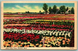 Nelis Tulip Farm Holland Michigan MI Linen Postcard F14 - £2.30 GBP