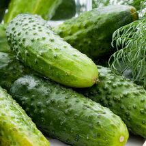 Boston Pickling Cucumber Seeds, Green Prolific, Gherkin, NON-GMO, FREE S... - €1,69 EUR+